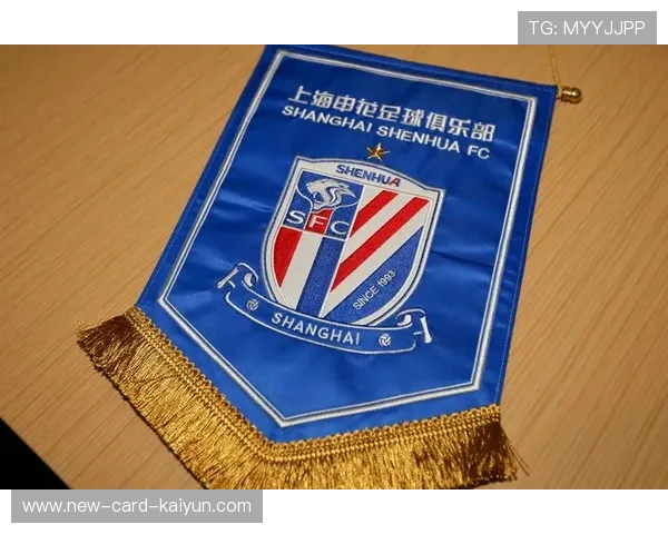 申花继续补强阵容,目标锁定下赛季冠军